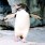 わこ
